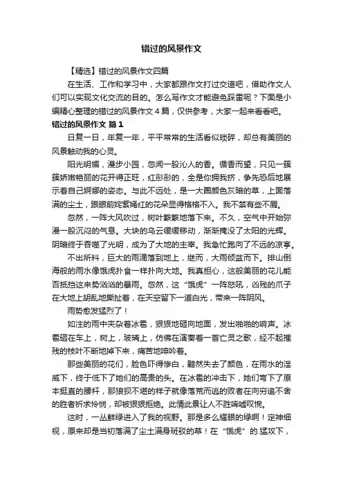 错过的风景作文