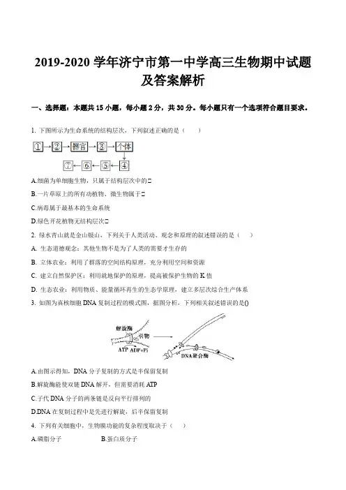 2019-2020学年济宁市第一中学高三生物期中试题及答案解析