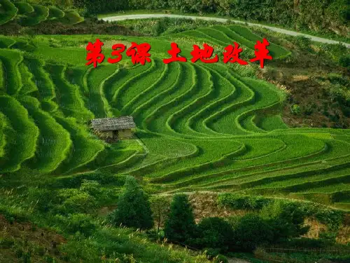 新人教版八年级历史下第三课《土地改革》PPT课件