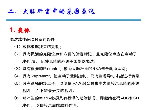 大肠杆菌中的基因表达