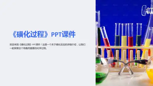 《磺化过程》课件