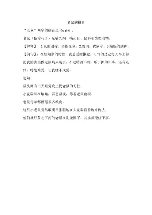 老鼠的拼音