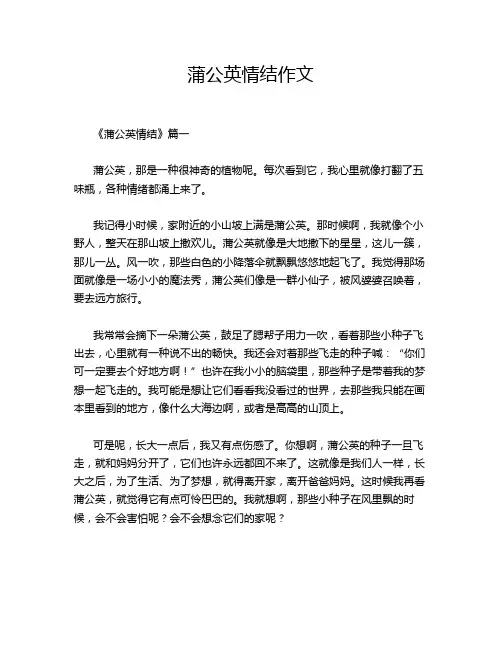 蒲公英情结作文