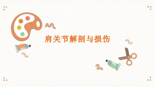 肩关节解剖与损伤MRI影像表现