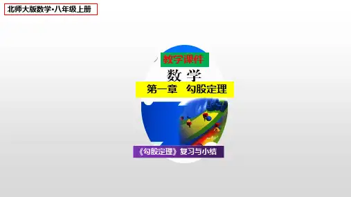 北师大版八年级数学上册第一章勾股定理复习与小结课件