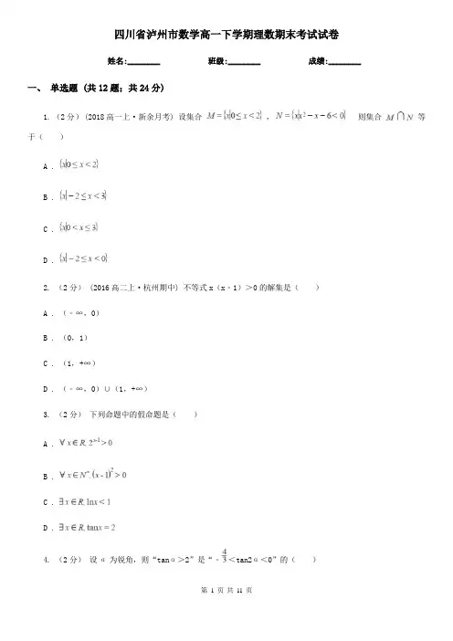 四川省泸州市数学高一下学期理数期末考试试卷