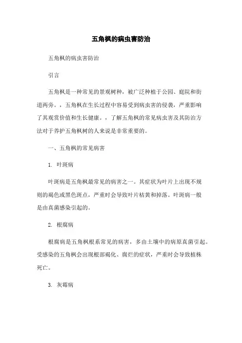 五角枫的病虫害防治