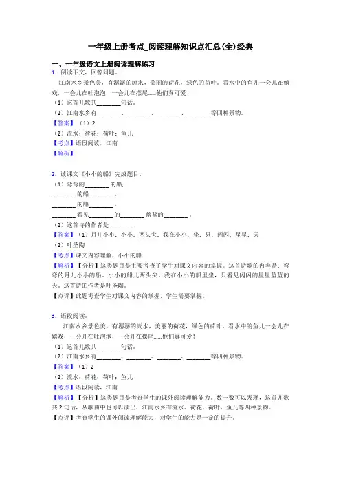 一年级一年级上册考点_阅读理解知识点汇总(全)经典