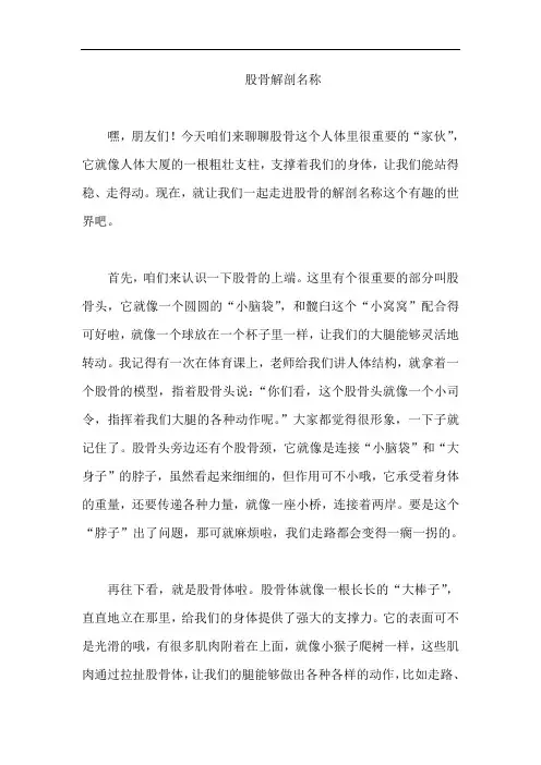 股骨解剖名称