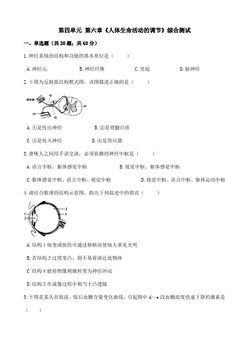 人教版七年级生物下册-第四单元 第六章《人体生命活动的调节》综合测试(Word版包含答案)