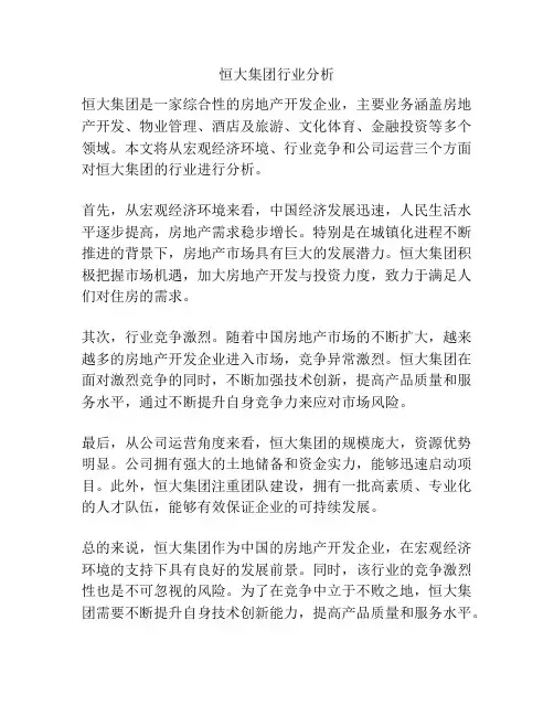 恒大集团行业分析