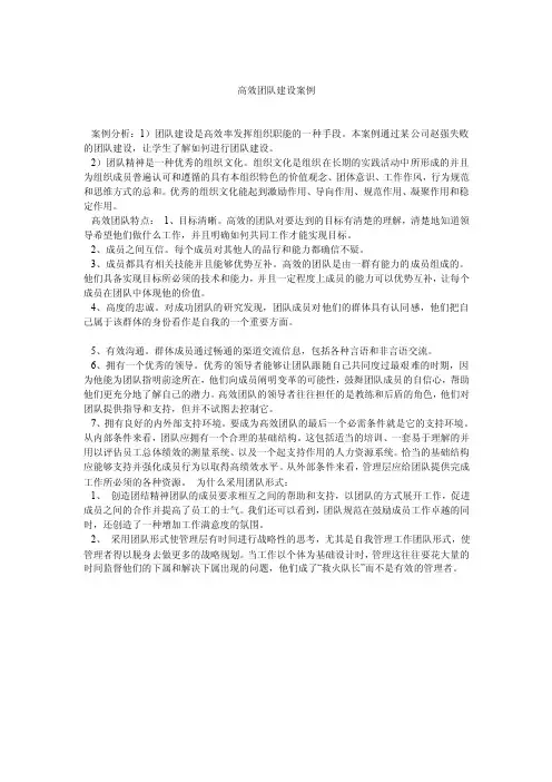 高效团队建设案例