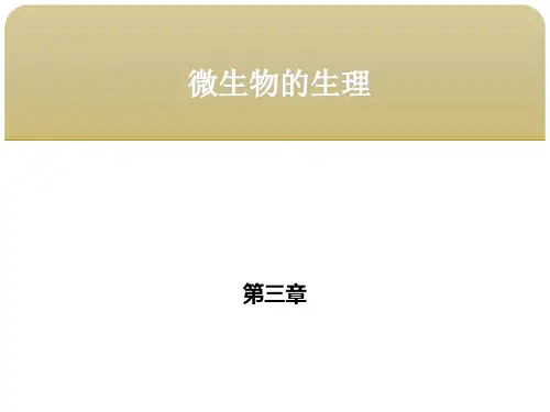 食品微生物学 第三章微生物的生理 第四节微生物的代谢