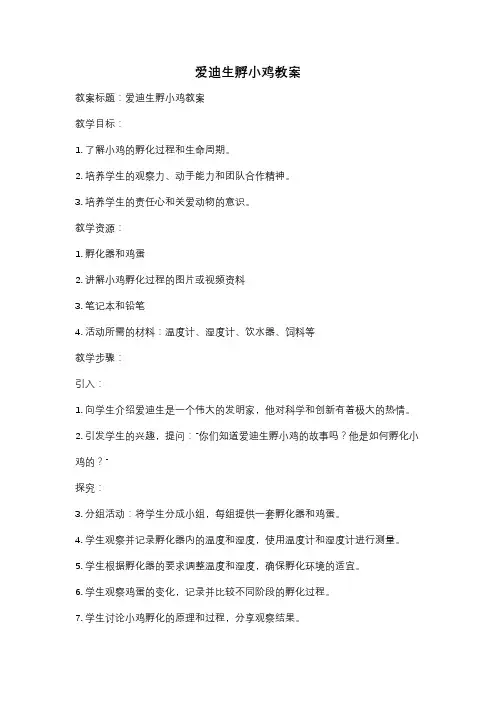 爱迪生孵小鸡教案
