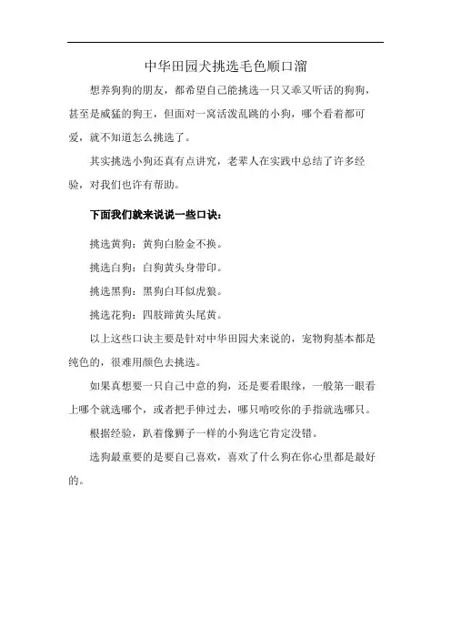 中华田园犬挑选毛色顺口溜