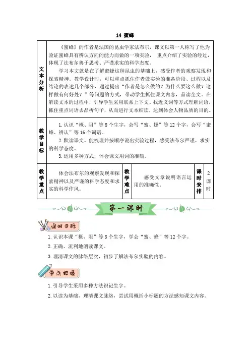 【部编版】三年级下册语文教案-14 蜜蜂