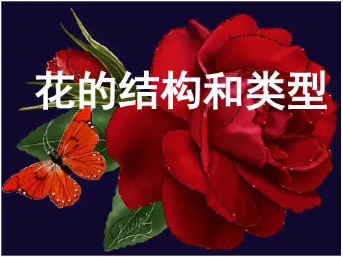 花的结构和类型(课件)