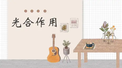 3.5  光合作用2-课件【新教材】浙科版(2019)高中生物必修一高中生物精品公开课