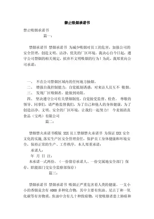禁止吸烟承诺书（范文）
