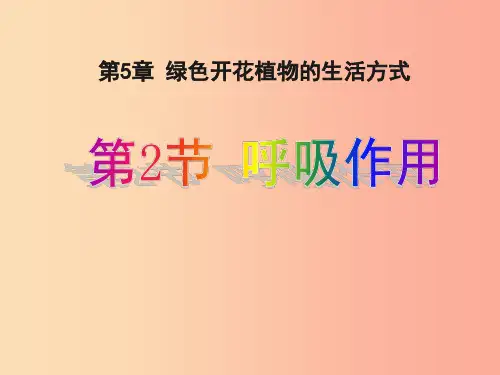 七年级生物上册 3.5.2《呼吸作用》课件2 (新版)北师大版PPT