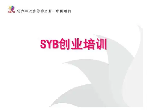 SYB项目简介