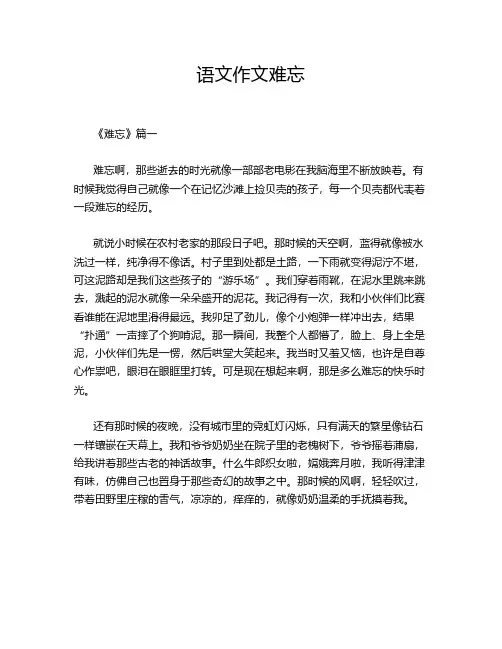 语文作文难忘