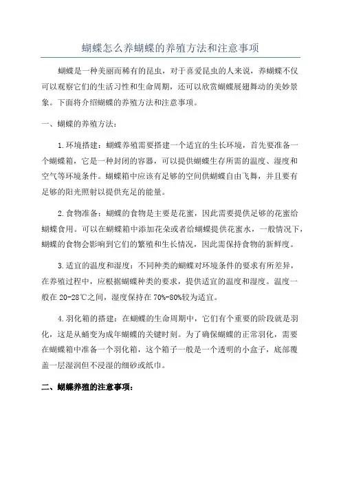 蝴蝶怎么养蝴蝶的养殖方法和注意事项