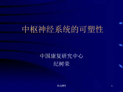 中枢神经系统的可塑性