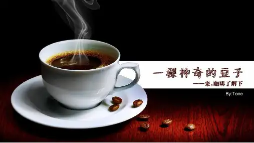 一棵神奇的豆子(Tone)