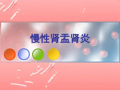 慢性肾盂肾炎