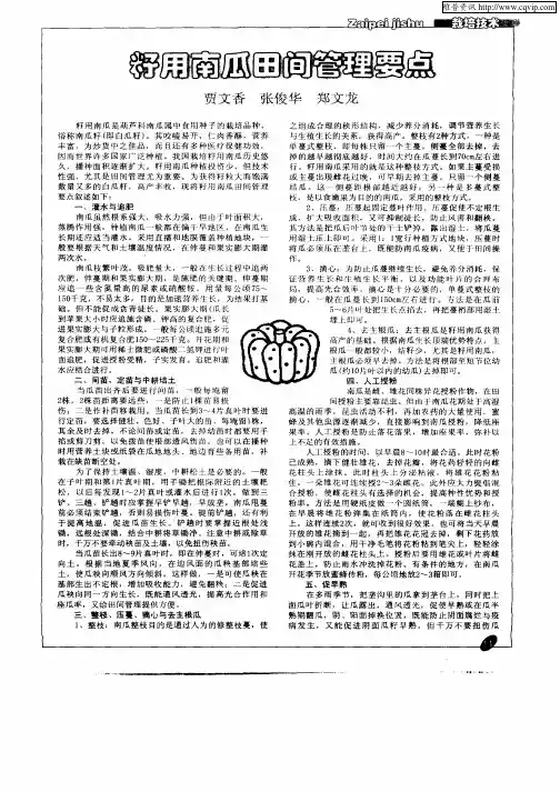 籽用南瓜田间管理要点