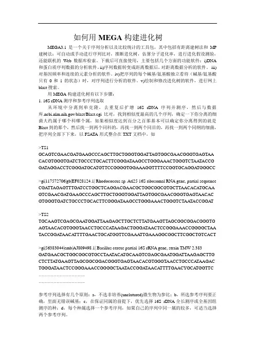 用MEGA构建进化树