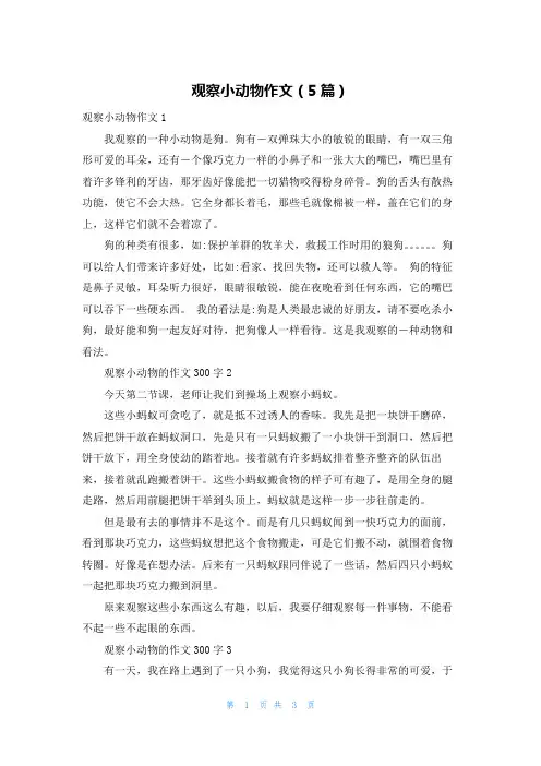 观察小动物作文（5篇）