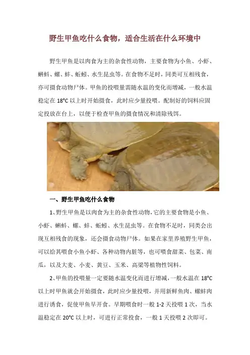 野生甲鱼吃什么食物,适合生活在什么环境中