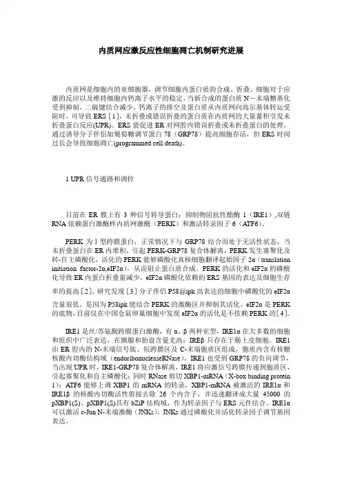 内质网应激反应性细胞凋亡机制研究进展