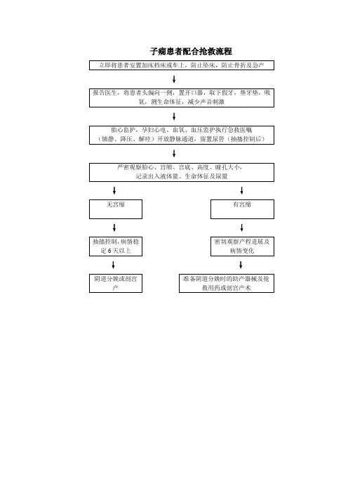子痫患者配合抢救流程