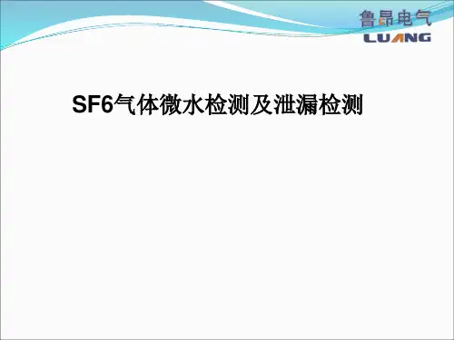 气体微水检测及泄漏检测PPT课件