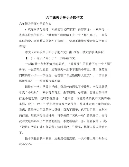 六年级关于坏小子的作文