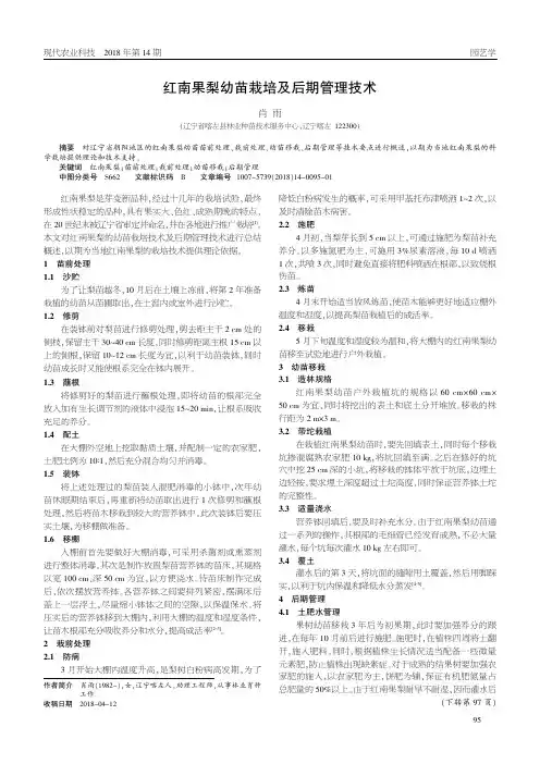 红南果梨幼苗栽培及后期管理技术
