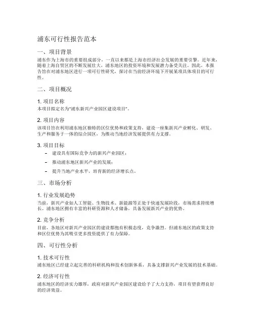 浦东可行性报告范本