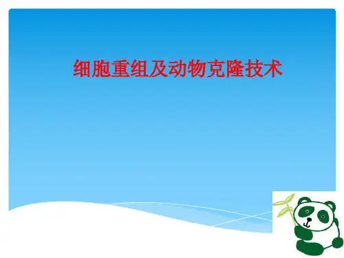 细胞重组技术及克隆