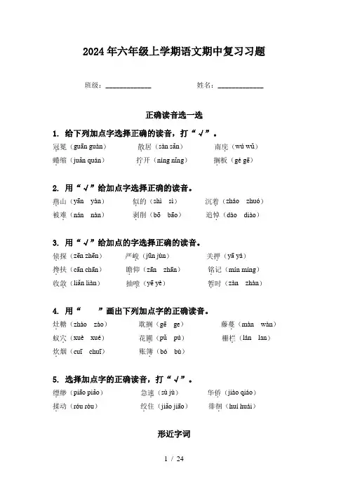 2024年六年级上学期语文期中复习习题