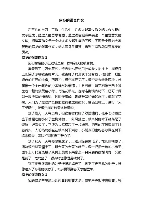 家乡的银杏作文15篇
