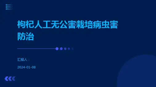 枸杞人工无公害栽培病虫害防治