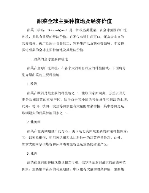甜菜全球主要种植地及经济价值