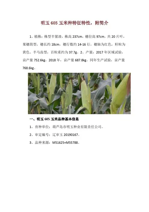 明玉605玉米种特征特性,附简介