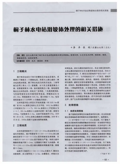 桐子林水电站滑坡体处理的相关措施
