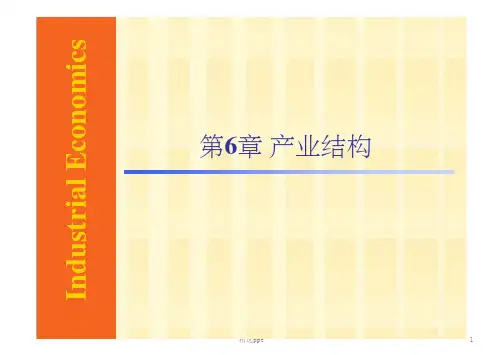 《产业结构》PPT课件 (2)