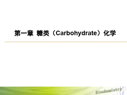 1章 糖类化学