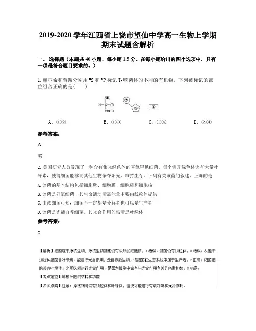 2019-2020学年江西省上饶市望仙中学高一生物上学期期末试题含解析